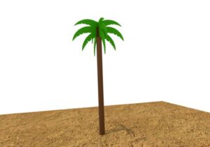 PALMERA