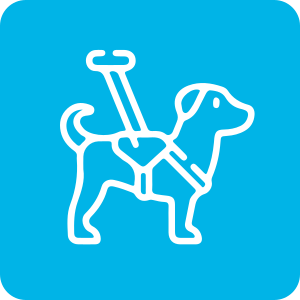 Agility Mascotas